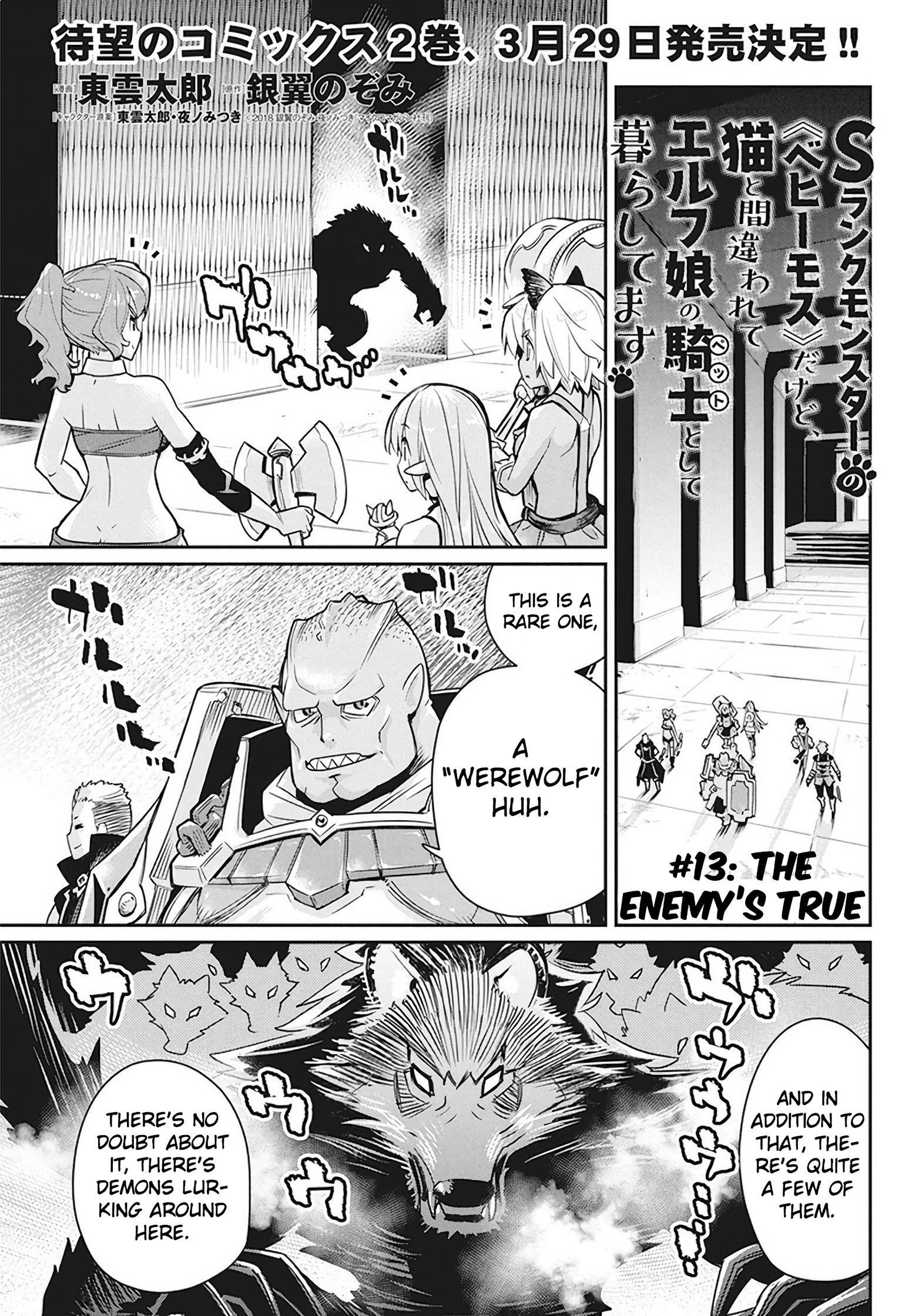 S-Rank Monster No Behemoth Dakedo, Neko To Machigawarete Erufu Musume No Kishi (Pet) Toshite Kurashitemasu - Chapter 13: The Enemy's True