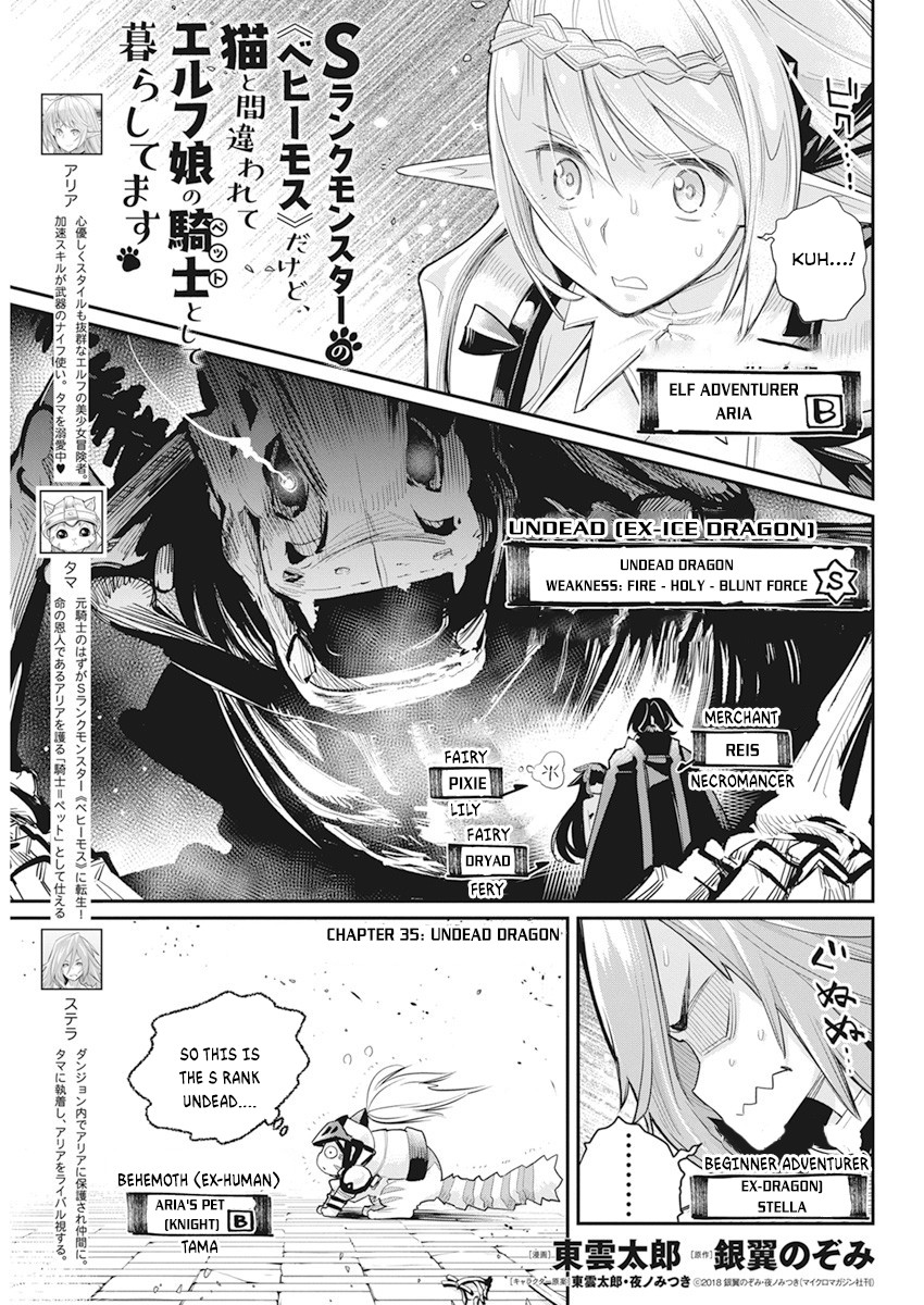 S-Rank Monster No Behemoth Dakedo, Neko To Machigawarete Erufu Musume No Kishi (Pet) Toshite Kurashitemasu - Chapter 35