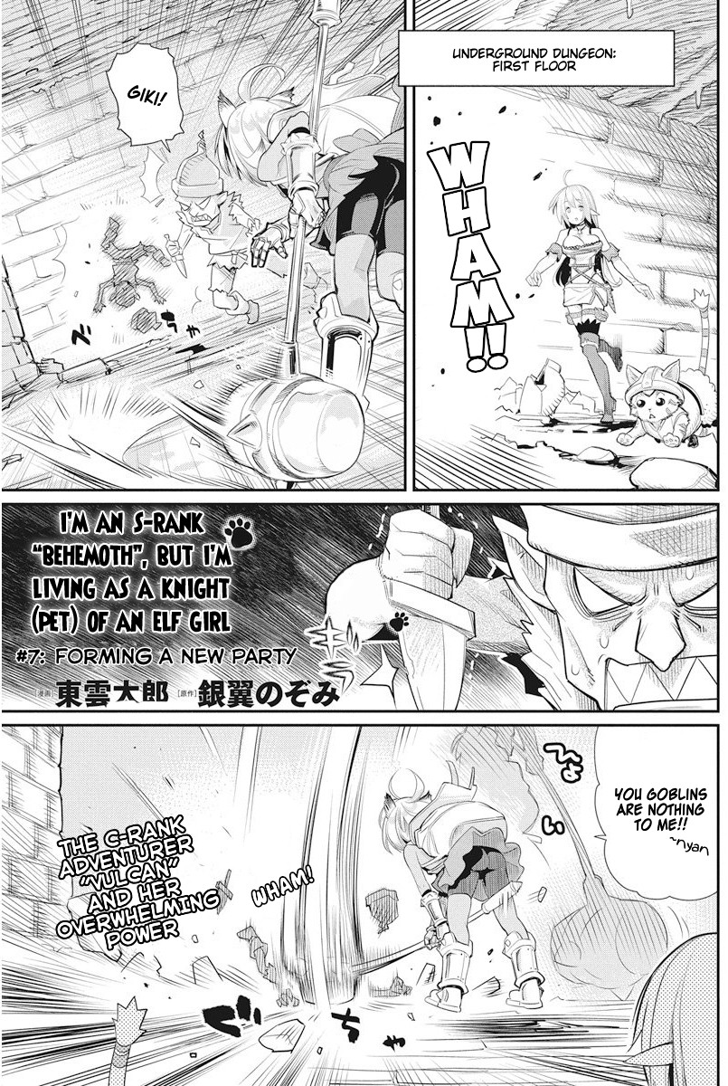 S-Rank Monster No Behemoth Dakedo, Neko To Machigawarete Erufu Musume No Kishi (Pet) Toshite Kurashitemasu - Chapter 7: Forming A New Party