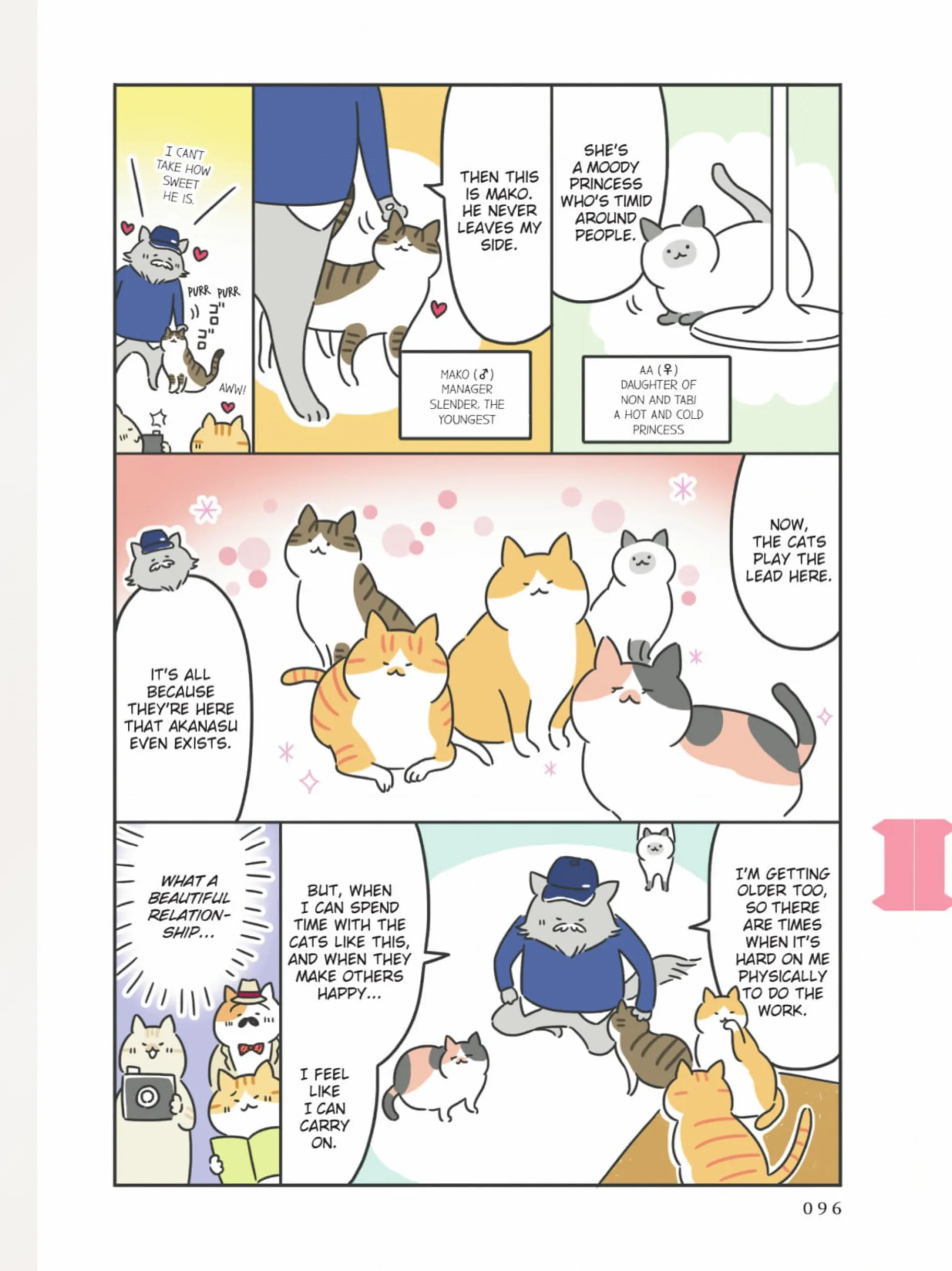 The Shop Cats Of Tokyo: A From Cat Avenue - Chapter 10