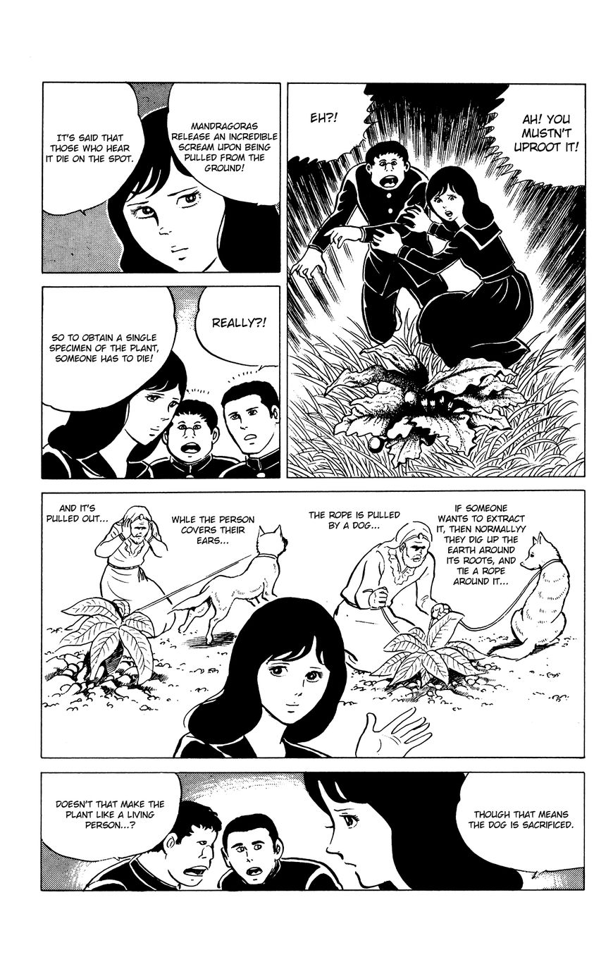 Eko Eko Azaraku - Chapter 26 : The Mandragora Nostrum