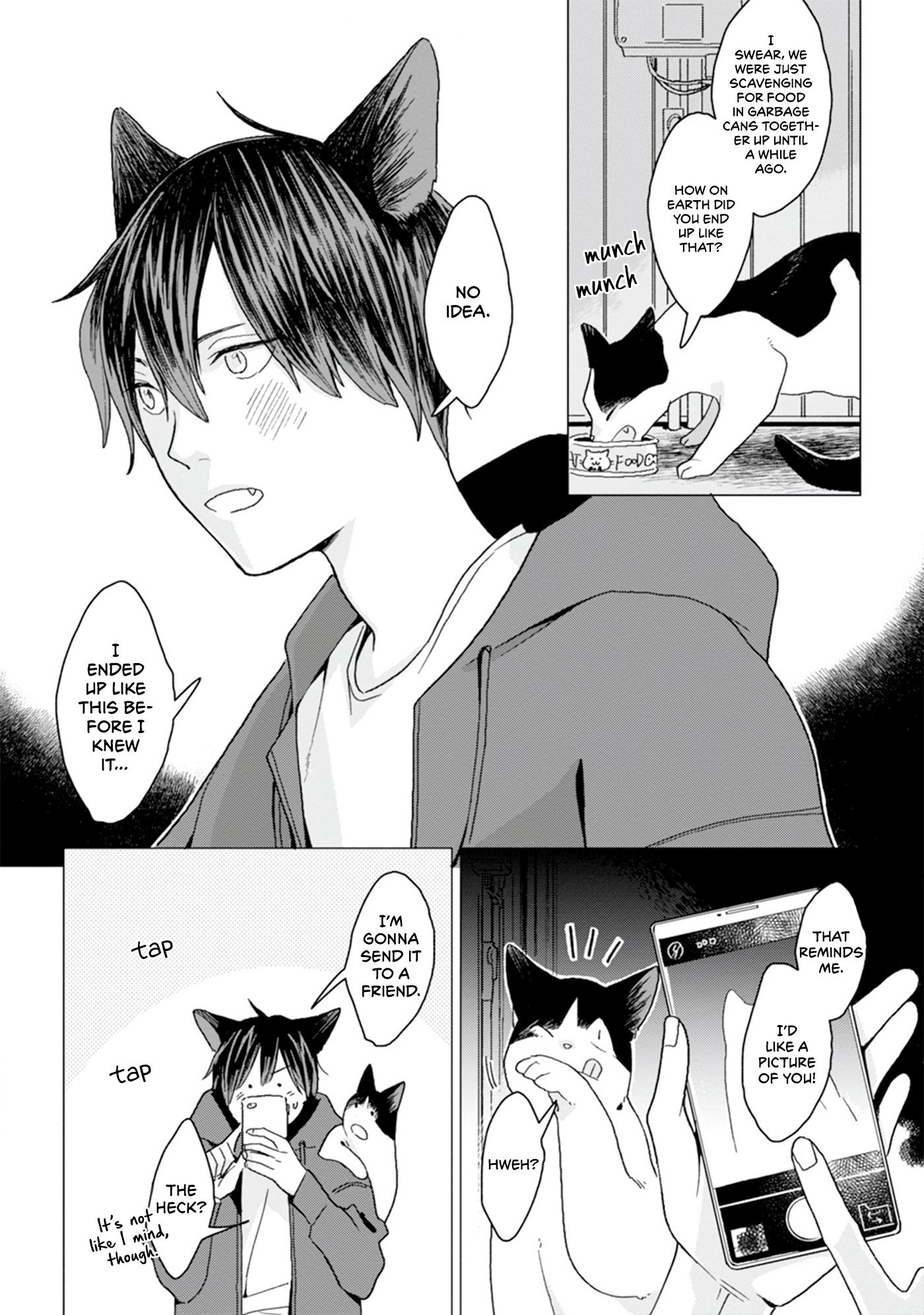 Koisuru Neko Wa Naderaretai - Chapter 1