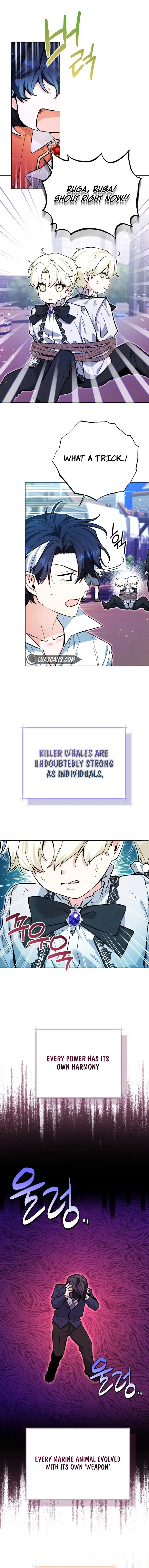 Black Killer Whale Baby - Chapter 17