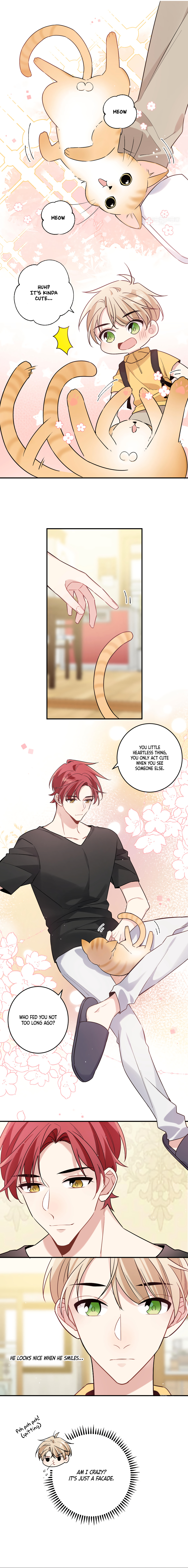 What To Do If My Cotenant Is My Love-Rival? - Chapter 3: Meow?