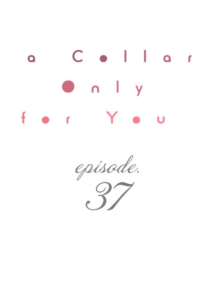 A Collar Only For You - Chapter 37