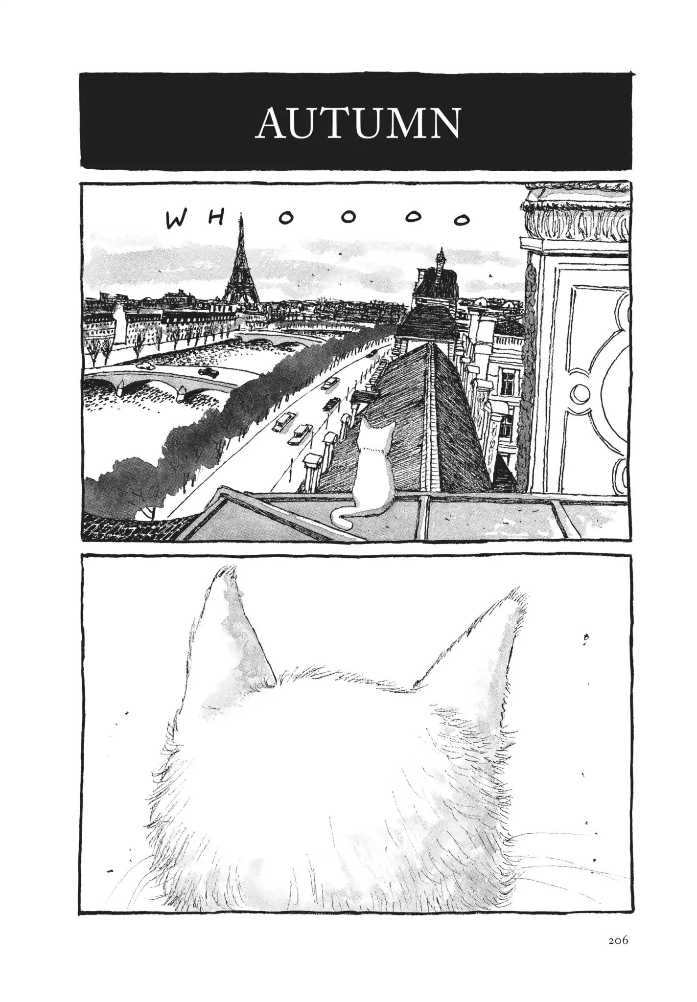 Cats Of The Louvre - Part One: Chapter 9: The Secret On The Roof