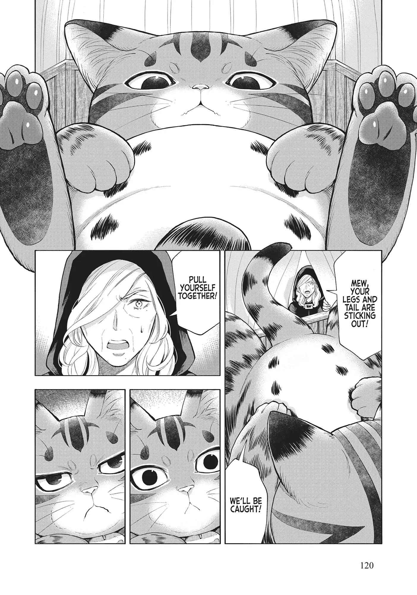 A Cat From Our World And The Forgotten Witch - Chapter 23