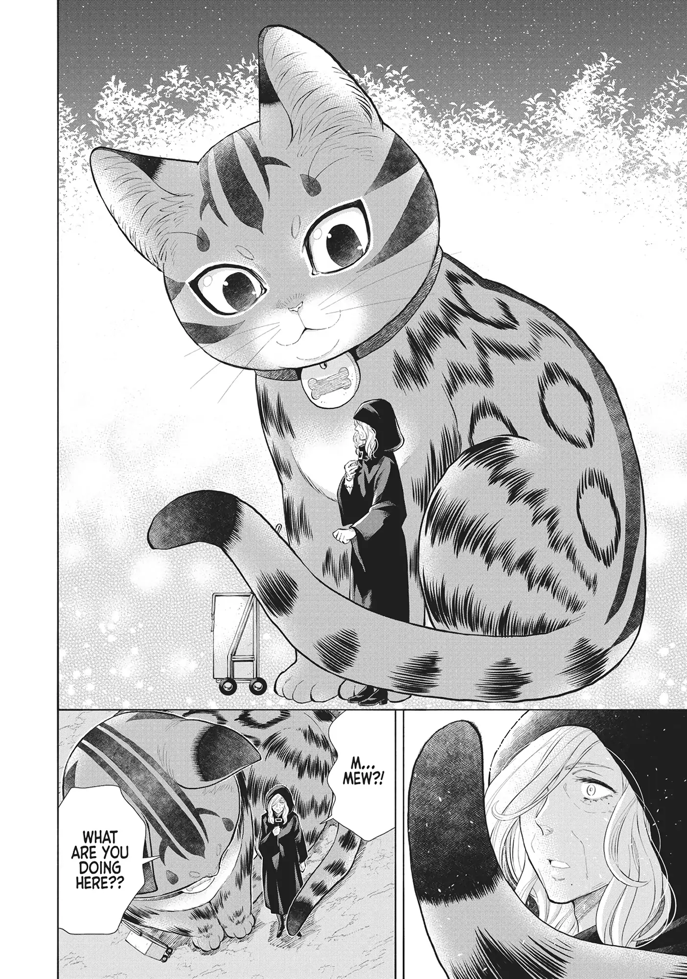 A Cat From Our World And The Forgotten Witch - Chapter 20