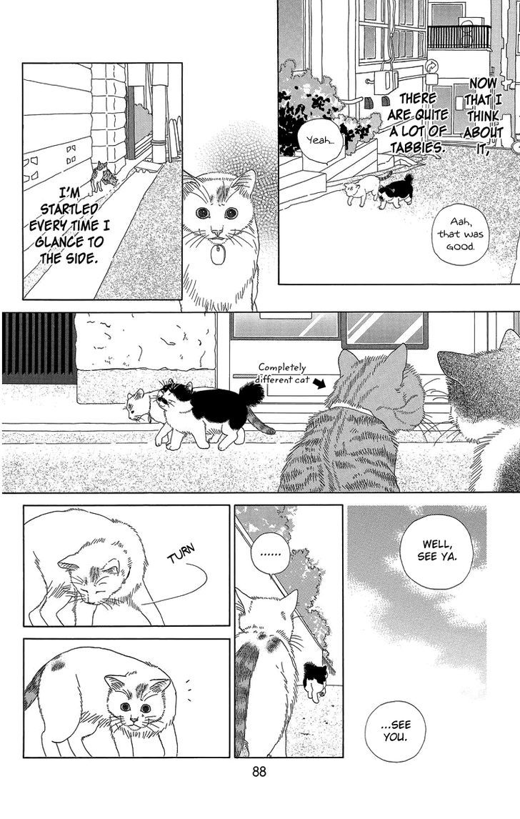 Zoccha No Nichijou - Vol.2 Chapter 18 : Is It A Dream? Reality? An Illusion?