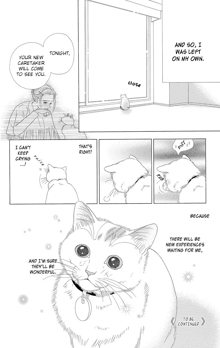 Zoccha No Nichijou - Chapter 23: Where Am I Going?