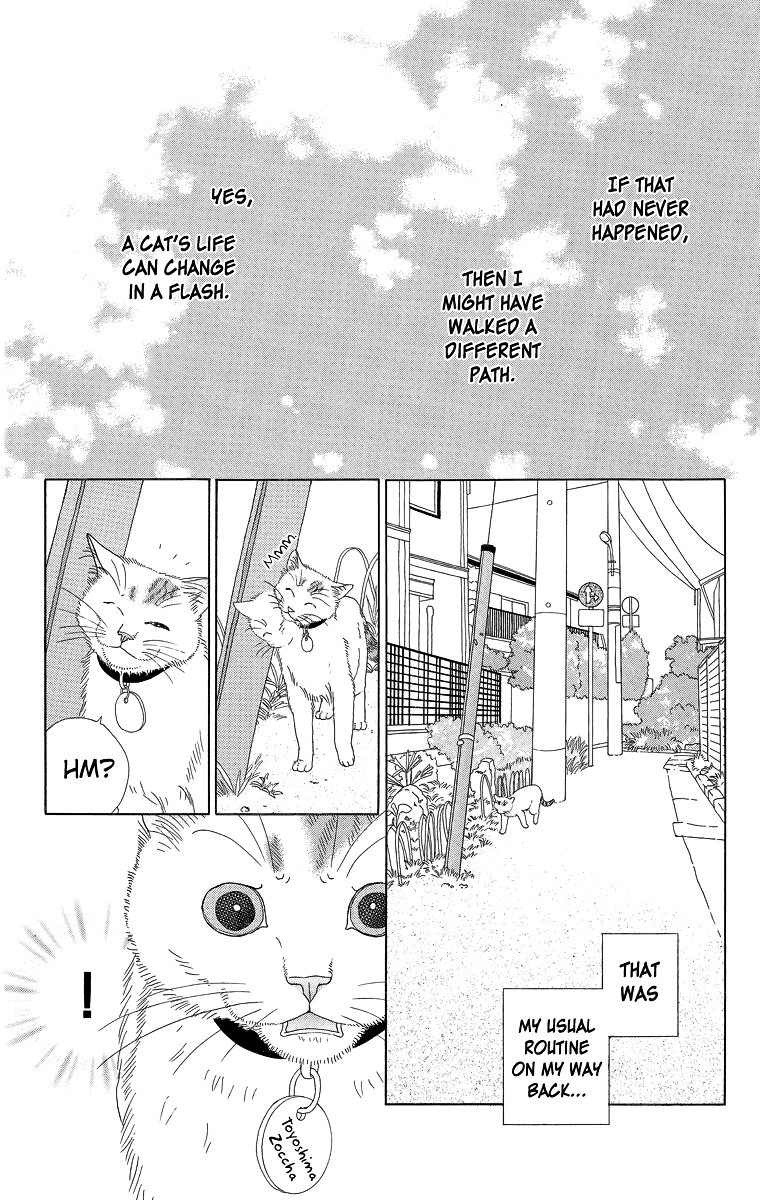 Zoccha No Nichijou - Vol.2 Chapter 16 : Night Gathering Part 1