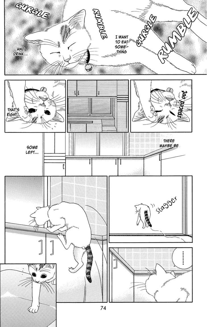 Zoccha No Nichijou - Vol.1 Chapter 7 : My Destiny