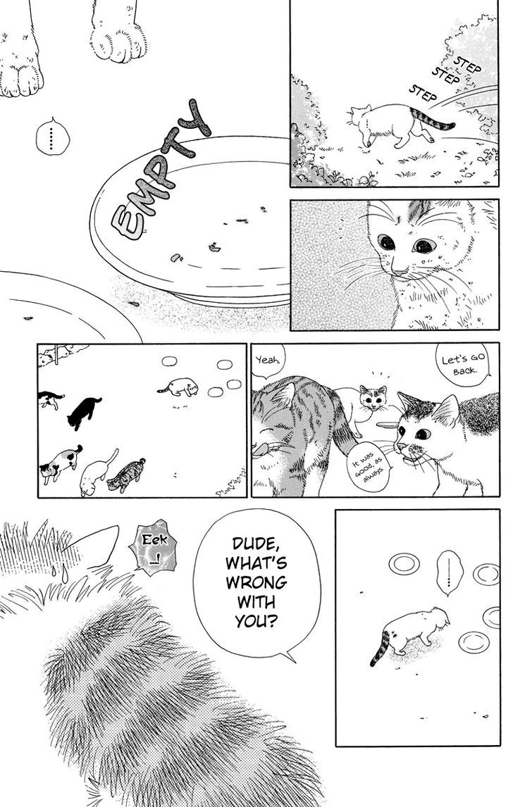 Zoccha No Nichijou - Vol.1 Chapter 9 : How To Receive Good Food