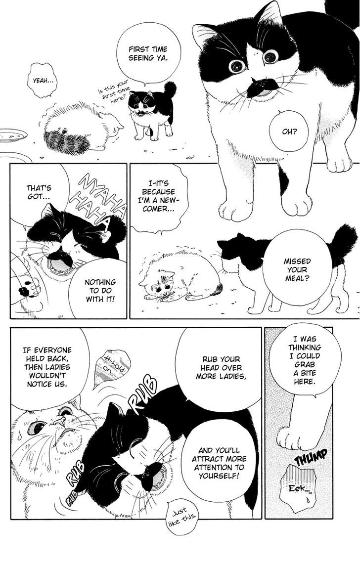 Zoccha No Nichijou - Vol.1 Chapter 9 : How To Receive Good Food