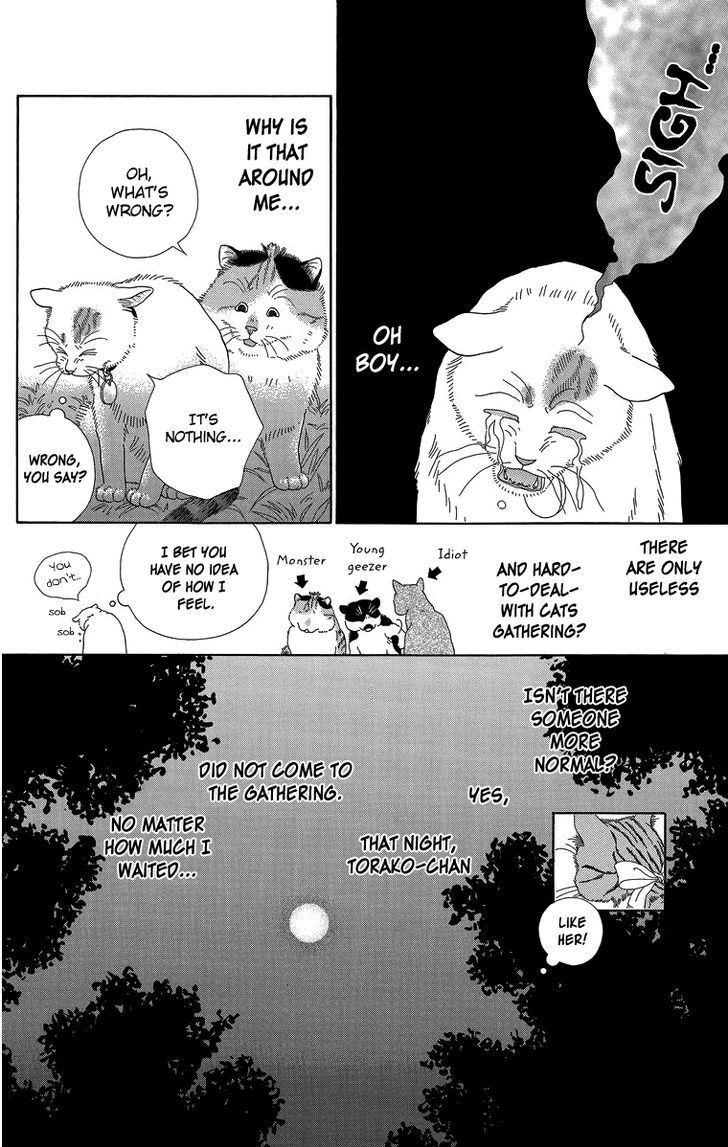 Zoccha No Nichijou - Vol.2 Chapter 17 : Night Gathering Part 2