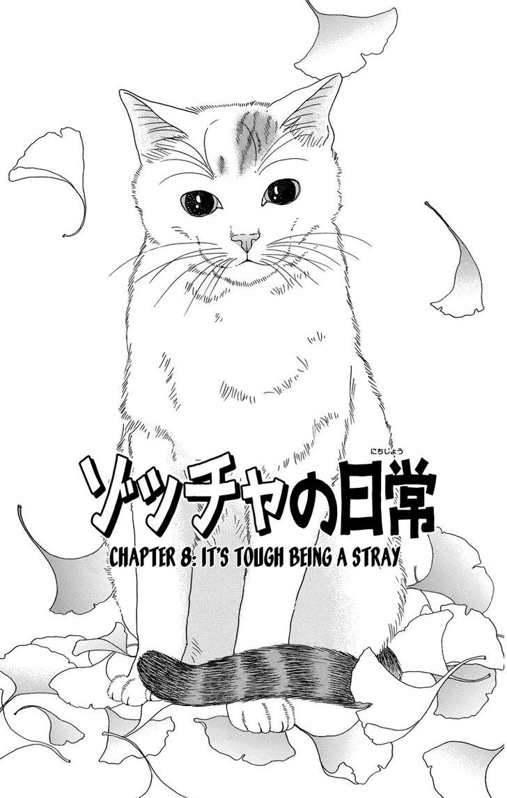 Zoccha No Nichijou - Vol.1 Chapter 8 : It's Tough Being A Stray