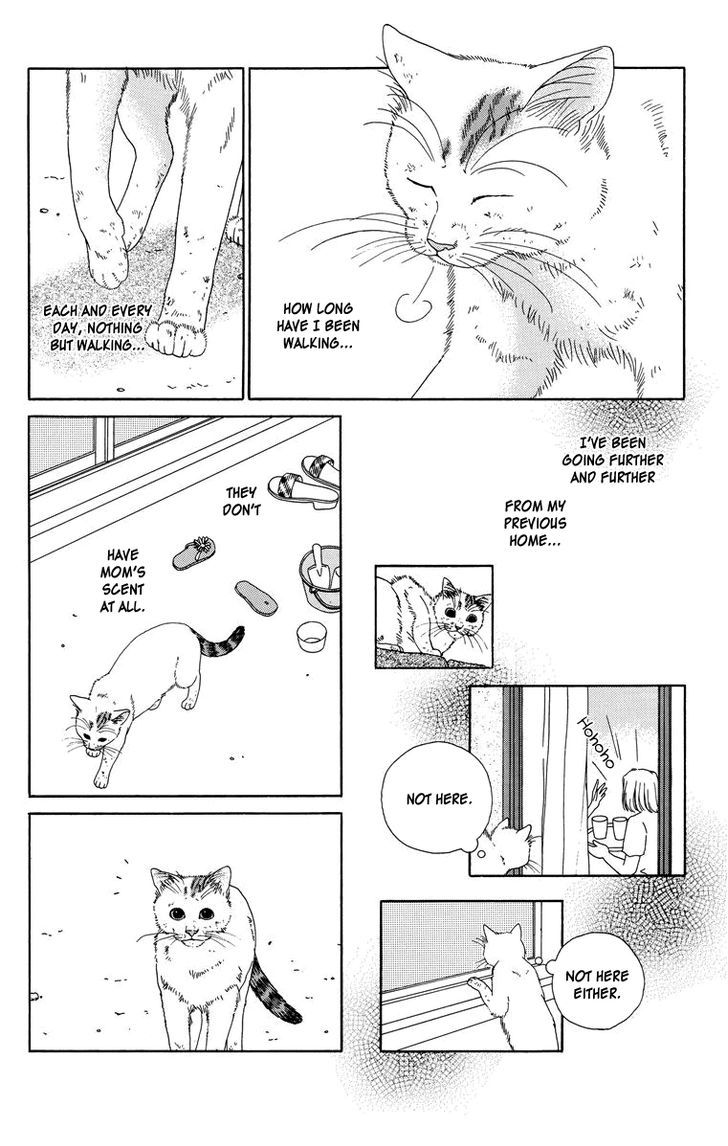 Zoccha No Nichijou - Vol.1 Chapter 8 : It's Tough Being A Stray