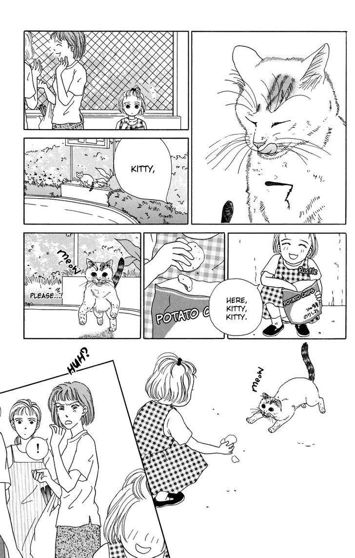 Zoccha No Nichijou - Vol.1 Chapter 8 : It's Tough Being A Stray