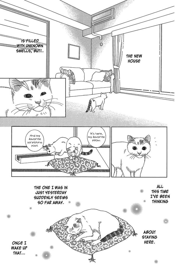 Zoccha No Nichijou - Vol.2 Chapter 11 : My New Home