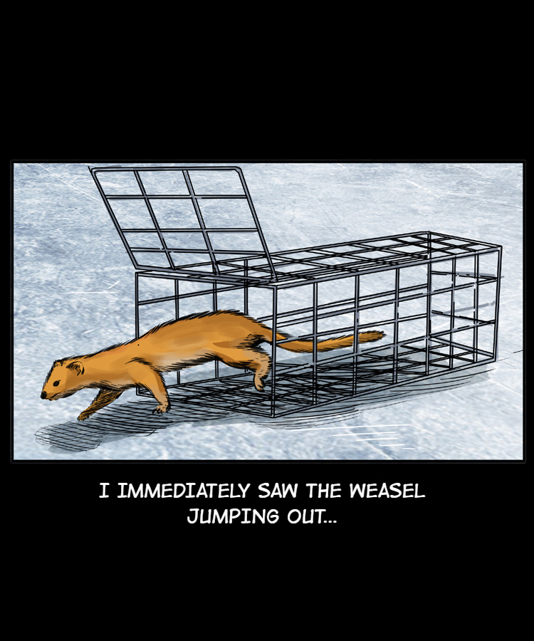 A Collection Of Peculiar Happenings - Chapter 22.2: The Grateful Weasel