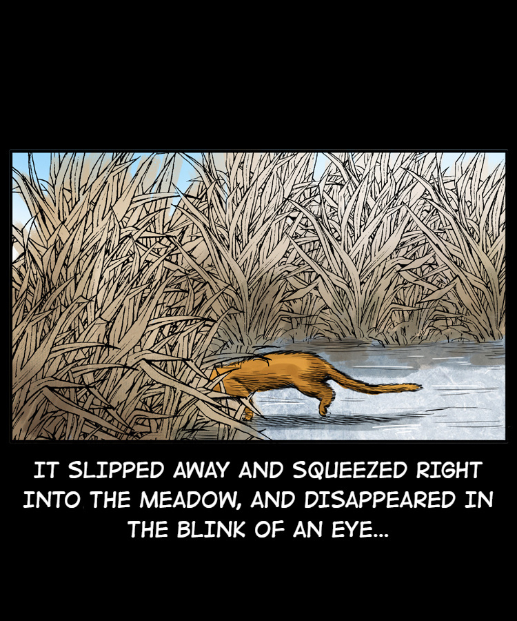 A Collection Of Peculiar Happenings - Chapter 22.2: The Grateful Weasel