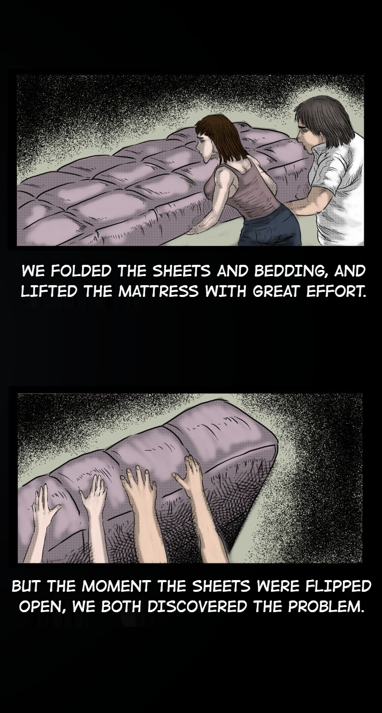 A Collection Of Peculiar Happenings - Chapter 12: The Mattress