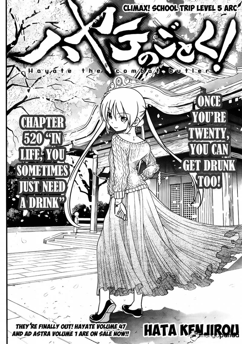 Hayate No Gotoku! - Chapter 520 : In Life, You Sometimes Just Need A Drink