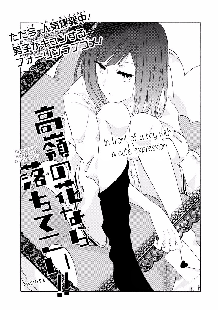 Takane No Hana Nara Ochitekoi!! - Chapter 8