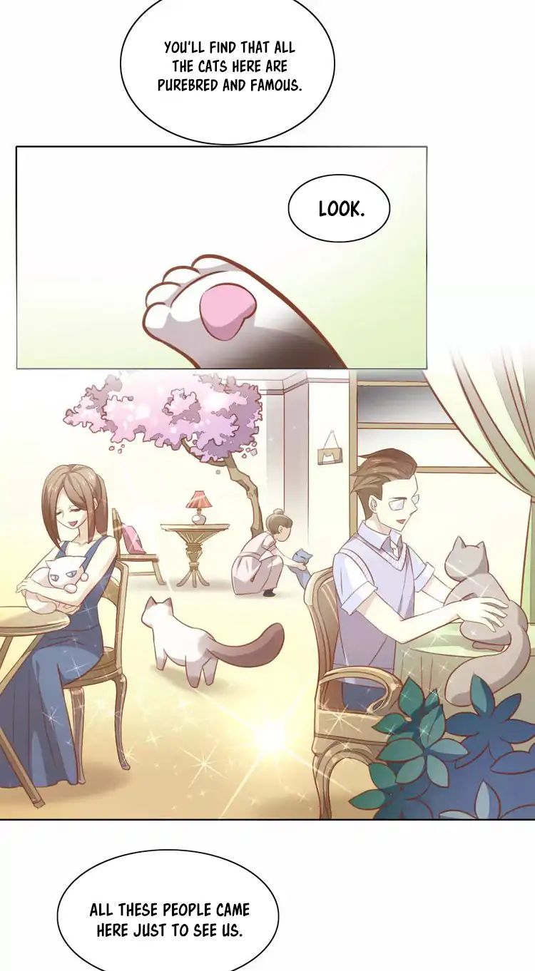 Under The Paws Of Cats - Vol.1 Chapter 8: Actually, Staying Indoors Is Better