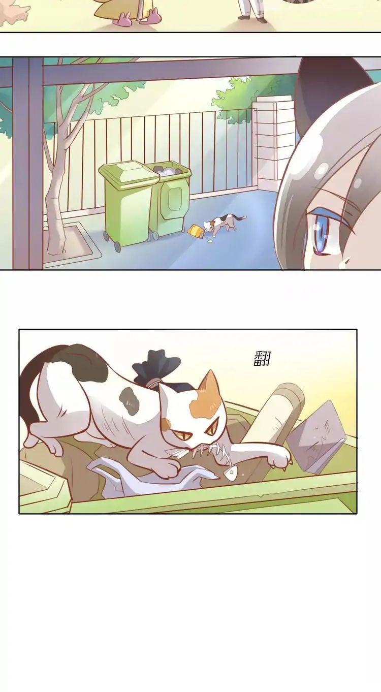 Under The Paws Of Cats - Vol.1 Chapter 8: Actually, Staying Indoors Is Better