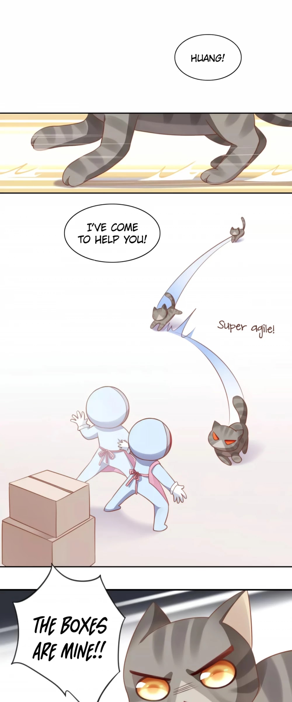 Under The Paws Of Cats - Chapter 12: The Battle For The Cardboard Boxes!