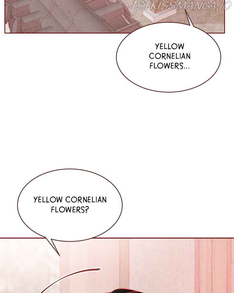 Do Snakes Eat Flowers? - Chapter 72