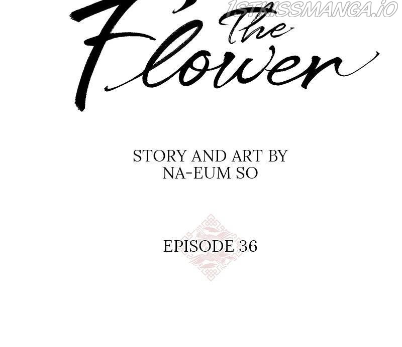 Do Snakes Eat Flowers? - Chapter 36