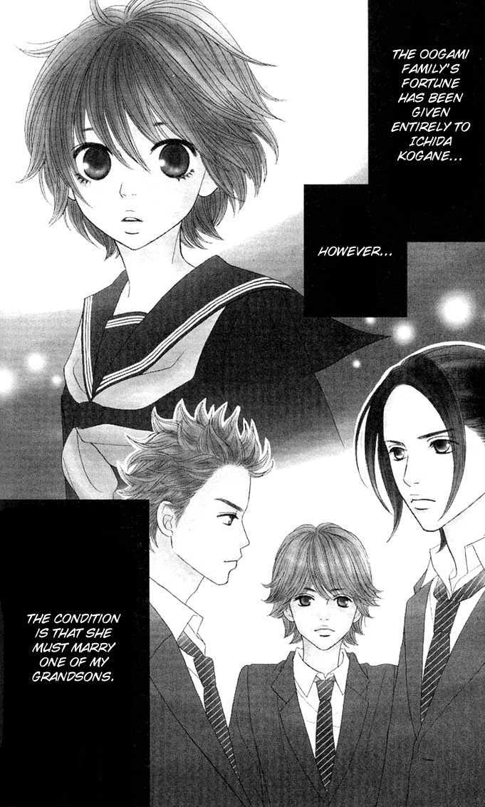 Kin No Angel - Vol.1 Chapter 2