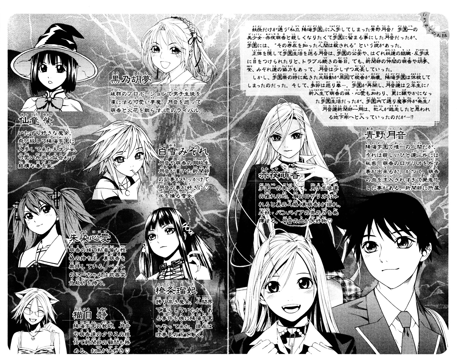 Rosario To Vampire Season Ii - Vol.2 Chapter 5 : The Fake