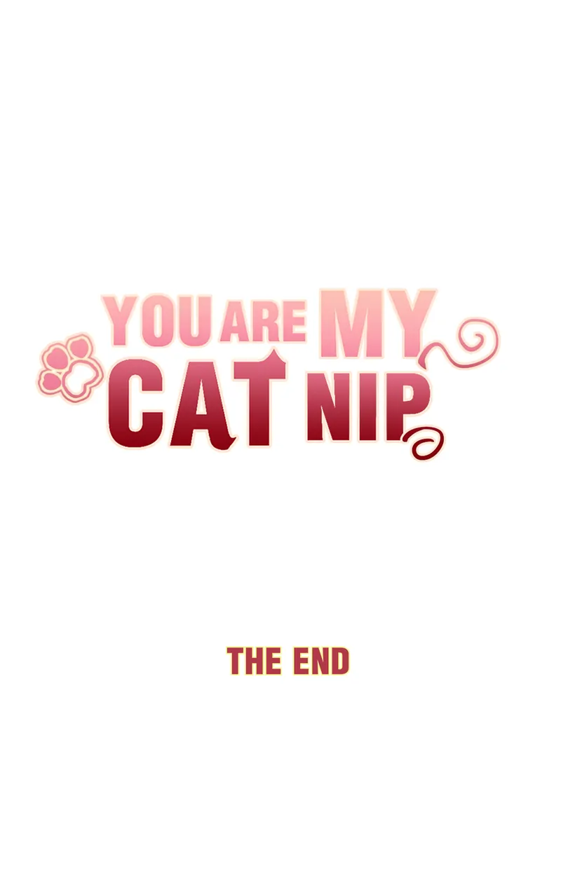 You Are My Catnip - Chapter 54