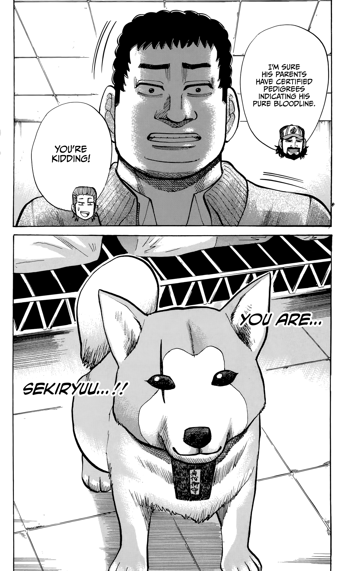 Nanba Mg5 - Vol.11 Chapter 93: Pet Shop Worker