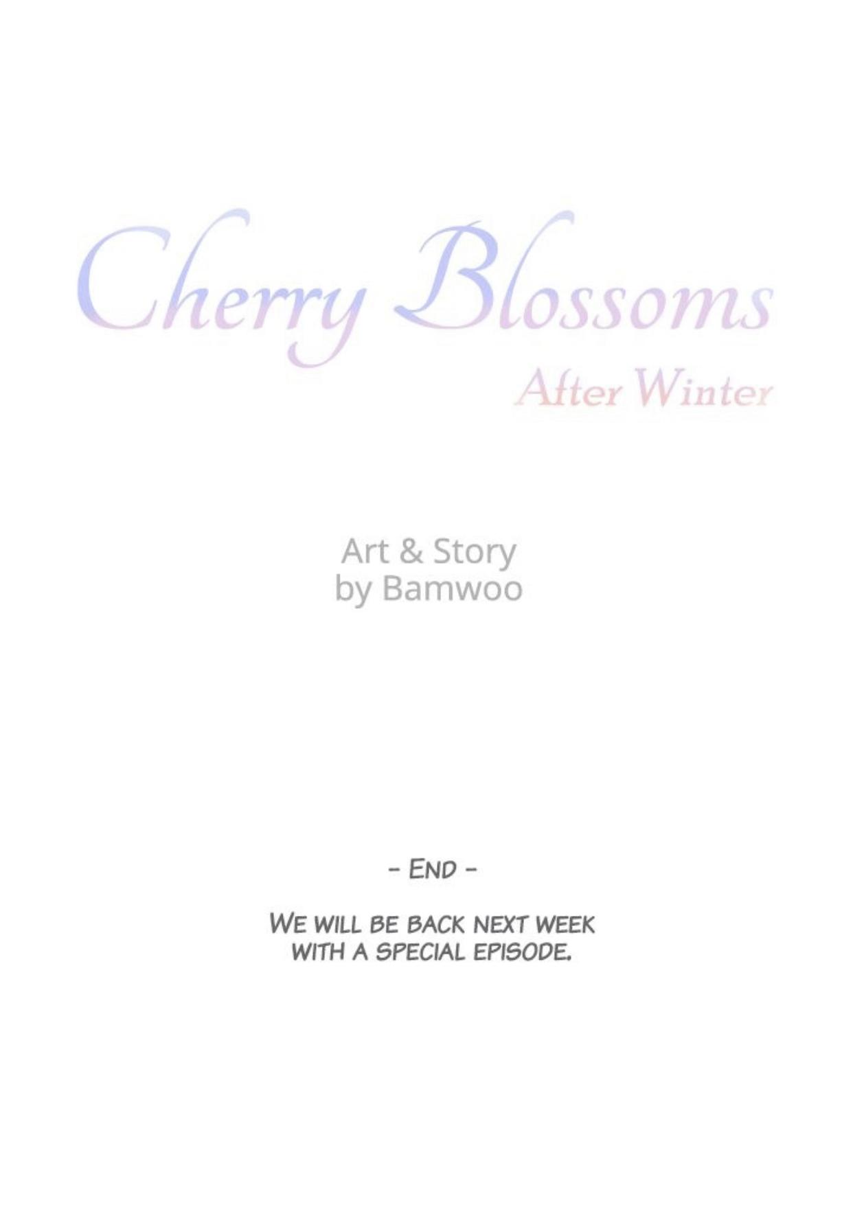 Cherry Blossoms After Winter - Chapter 146 : Finale