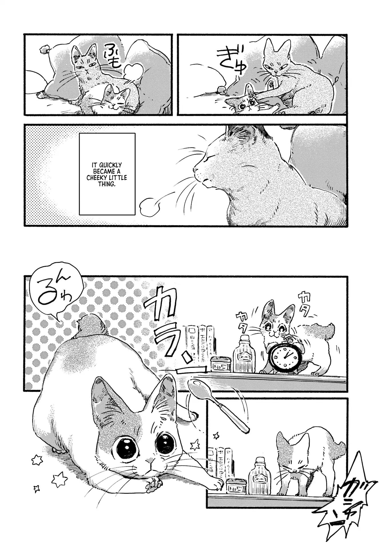 Nekodamari - Vol.1 Chapter 3