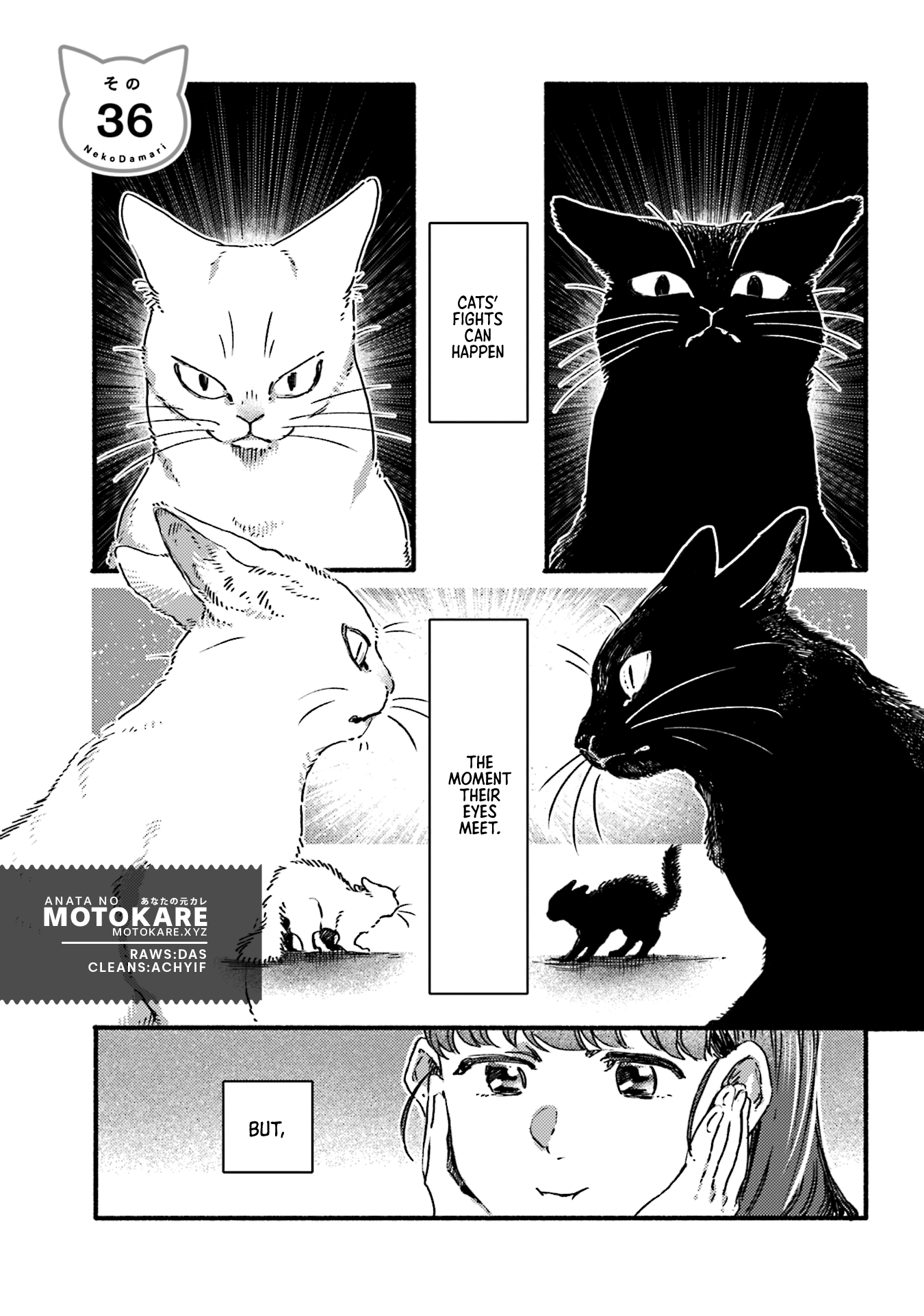 Nekodamari - Vol.2 Chapter 36