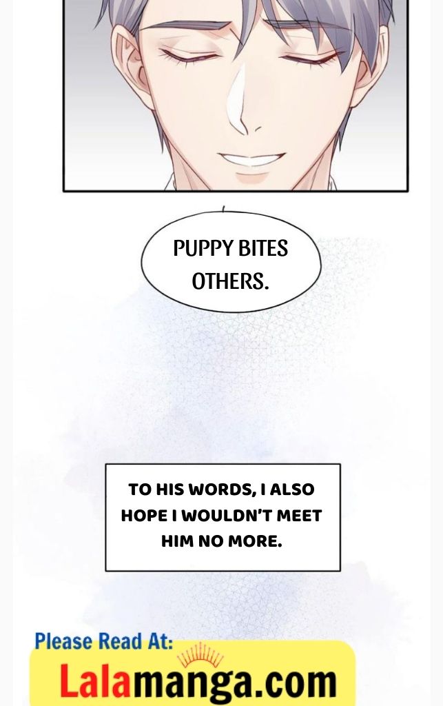 The Cold-Hearted Professor’s Loyal Puppy - Chapter 4