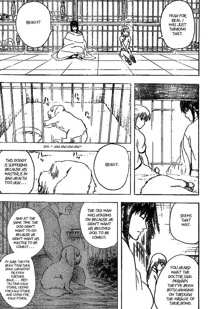 Gintama - Chapter 207 : Be Careful Of What You Pick Up And Eat