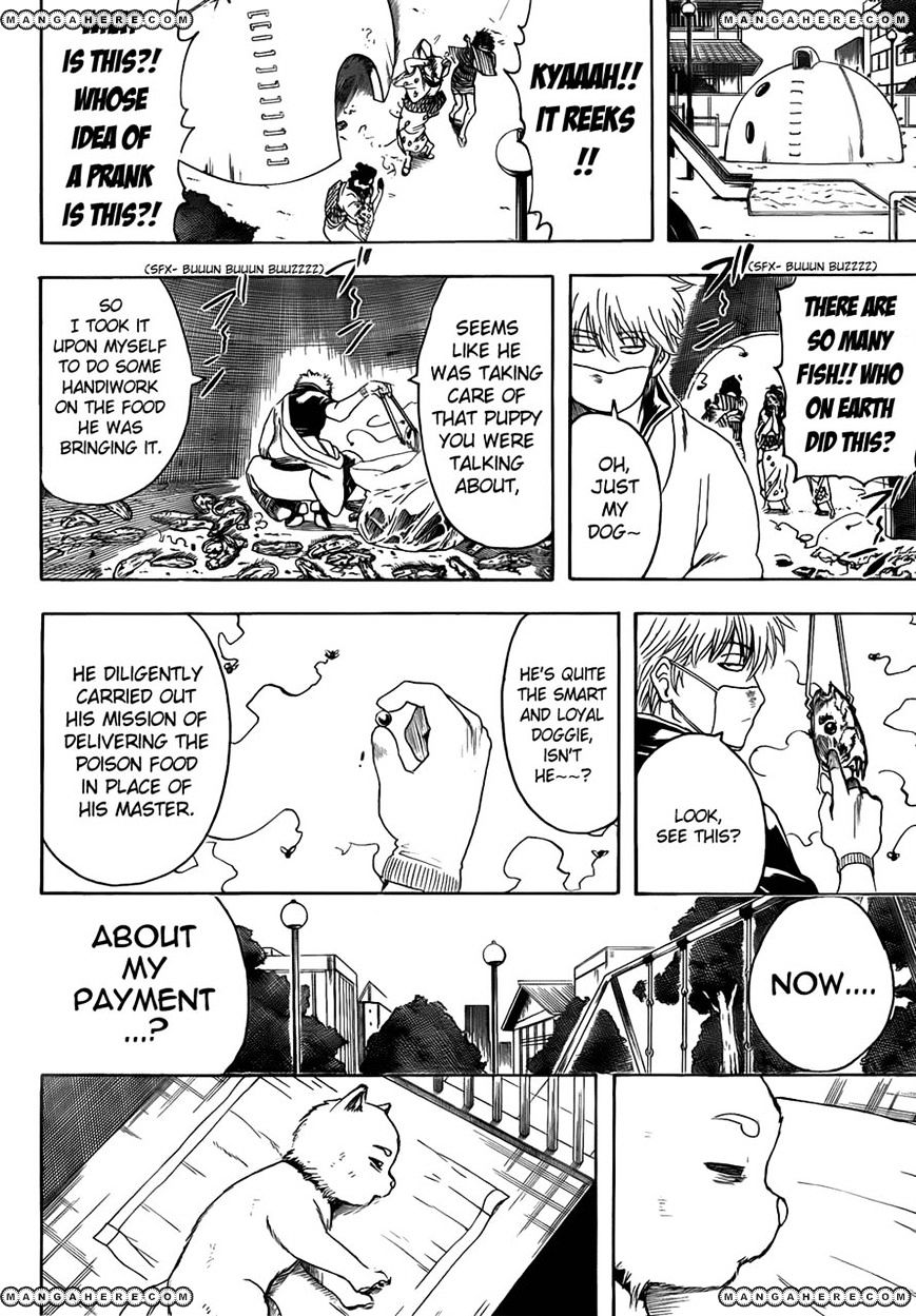 Gintama - Chapter 402 : Dog Food Makes For A Surprisingly Good Snack To Go With Alcohol