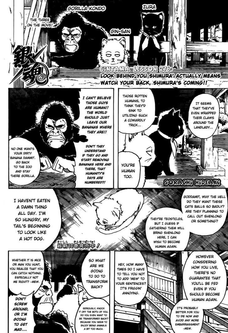 Gintama - Chapter 276 : Look Behind You Shimura  Actually Means Watch Your Back, Shimura S Coming!!