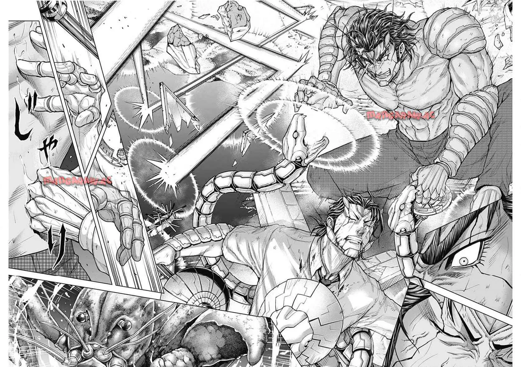 Terra Formars - Vol.24 Chapter 244: Calling Naming And Duty