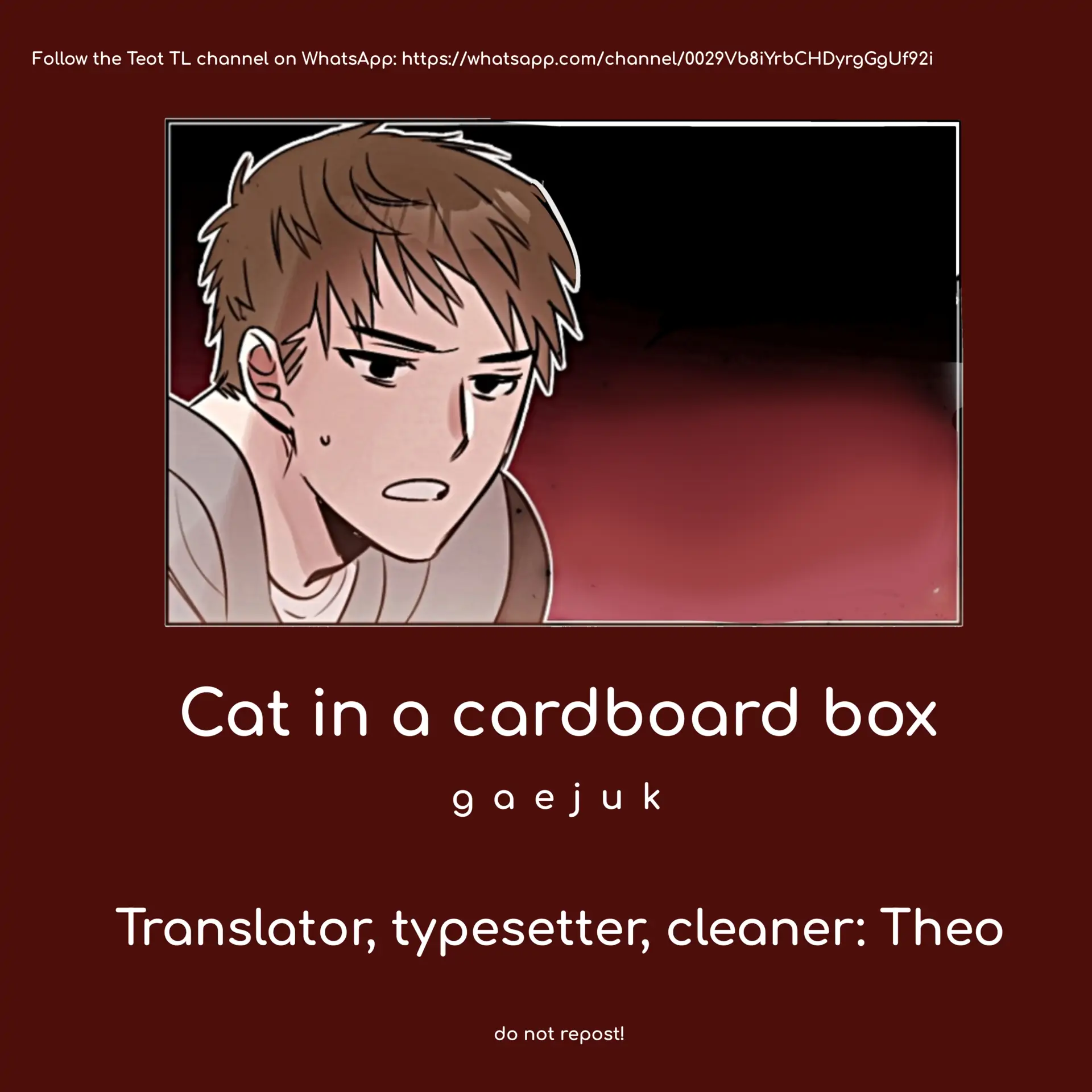 Cat In A Cardboard Box - Chapter 31