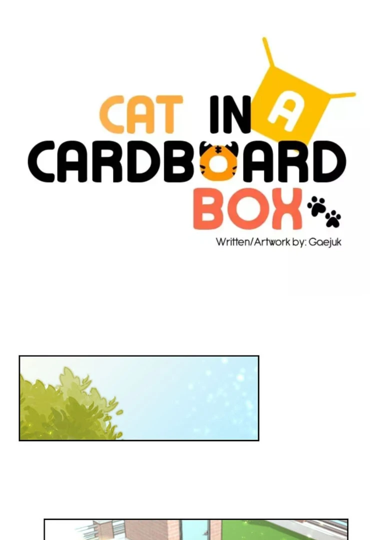 Cat In A Cardboard Box - Chapter 31