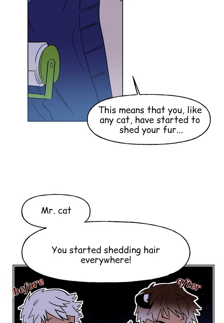 Cat In A Cardboard Box - Chapter 31