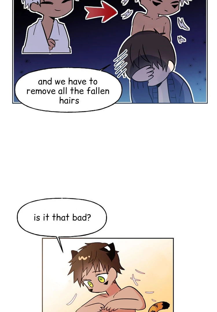 Cat In A Cardboard Box - Chapter 31