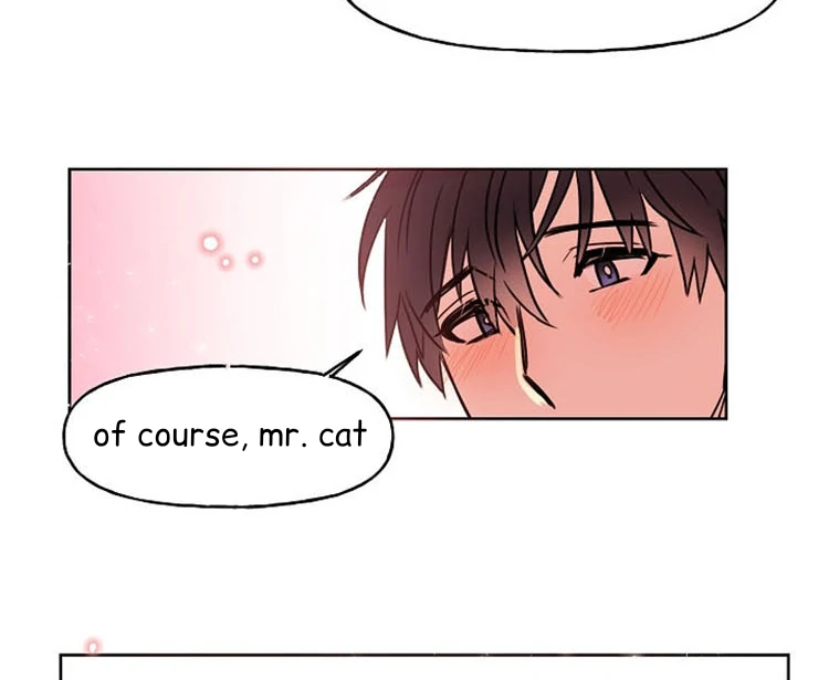 Cat In A Cardboard Box - Chapter 31